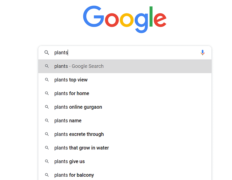 google auto suggestion serp